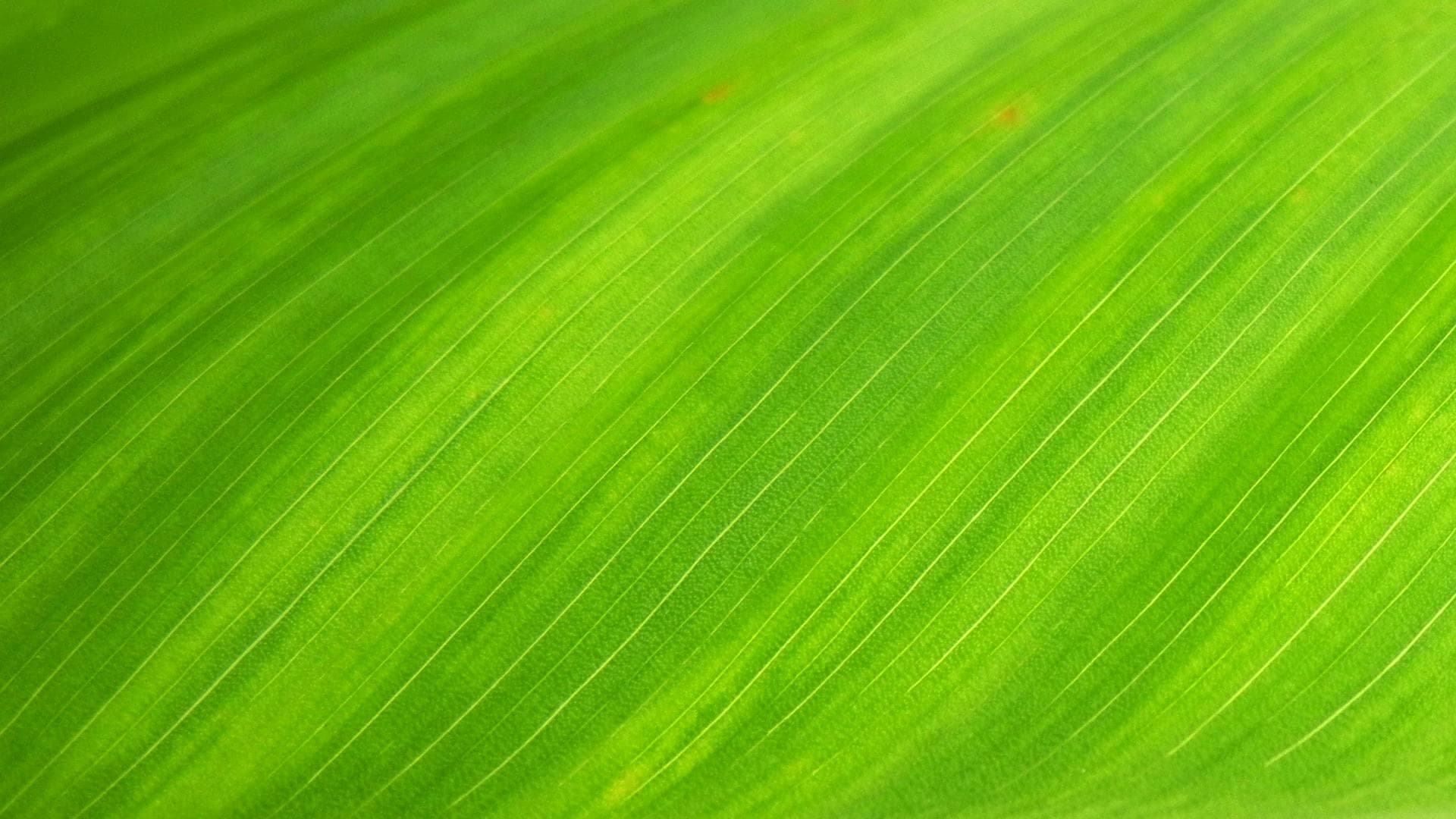 Migliorare la gestone dei corsi d'acqua